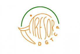 Direction Générale du Trésor